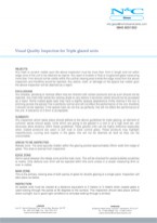 Visual Quality Inspection for Triple Glazed Units